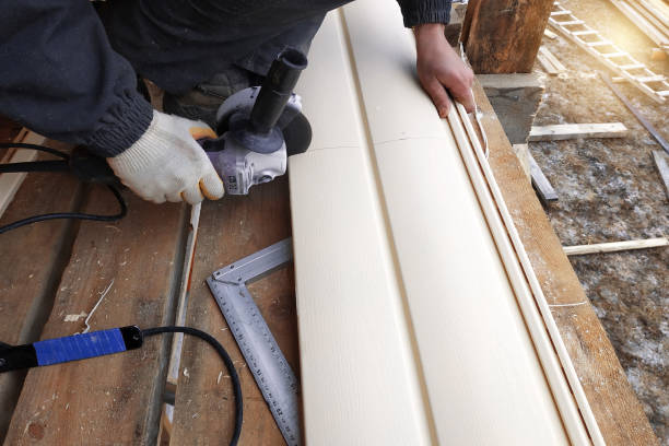 Best Fascia and Soffit Installation  in Johnston, IA
